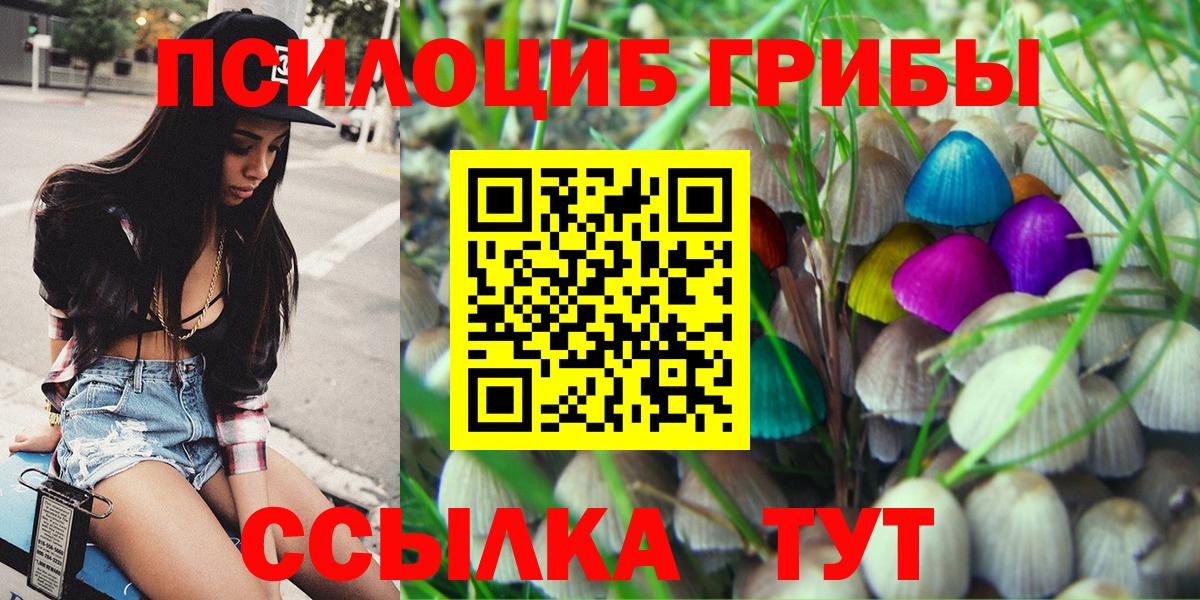 Галлюциногенные грибы ЛСД  Вход с VPN  Псилоцибиновые грибы Psilocybe  Великие Луки 
