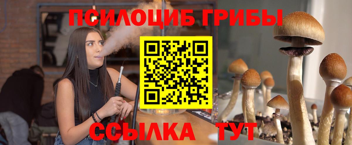 Галлюциногенные грибы MAGIC MUSHROOMS Великие Луки